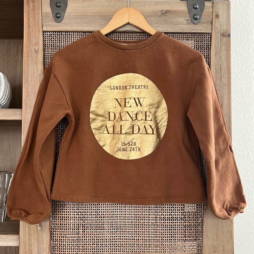 📫 BUY 2 for $20📫 🍂 Zara Girls Brown Gold Sweater Sweatshirt 13/14